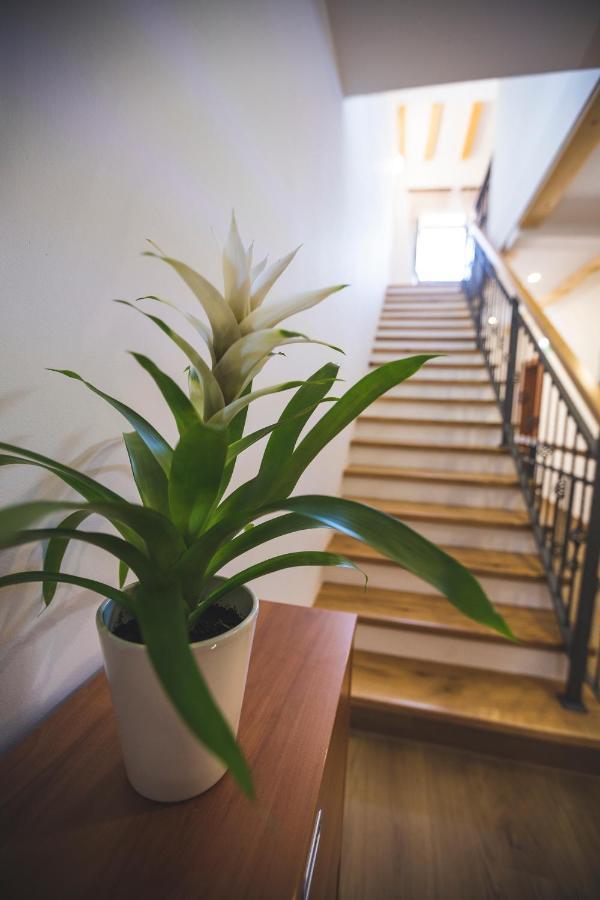 Vinea Apartmani Umag, Ulica G Garibaldia 2 エクステリア 写真